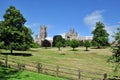 Ely Cathedral Through Parkland Trees