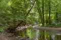 Elzbach water stream and forest near Eltz Castle, Germany Royalty Free Stock Photo