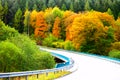 road curve on a bridge in colorful forest Royalty Free Stock Photo