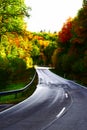 wet curvy road in autumn forest Royalty Free Stock Photo