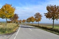 rural avenue with beautiful autumn trees