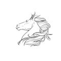 Emage of a horse\'s head in profile Royalty Free Stock Photo