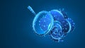 Email, Cloud Storage with a magnifying glass. Data access analysis, mailing database, internet server. Low poly, wireframe 3d