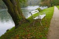 Embankment along the river with a view of a tree and a white bench. Fall