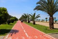 Embankment of Batumi with alley of palm trees, bicycle path and modern architecture Royalty Free Stock Photo