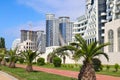 Embankment of Batumi with alley of palm trees, bicycle path and modern architecture