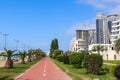 Embankment of Batumi with alley of palm trees, bicycle path and modern architecture Royalty Free Stock Photo