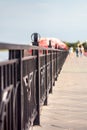 Embankment. Beautiful perspective and bokeh.