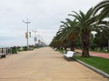 The embankment of the city of Batumi with green palm trees in the Batumi seaside Park.