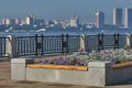 Embankment of the city of Blagoveshchensk, Russia. A flower bed with a wooden bench and purple flowers. Across the Amur Royalty Free Stock Photo