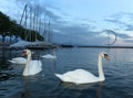 Embankment on Lake Geneva in Lausanne with swans and yacht at evening time, Switzerland Royalty Free Stock Photo