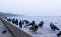 Embankment of lake Onega in Petrozavodsk city