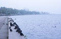 Embankment of lake Onega in Petrozavodsk city
