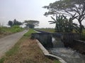 embankment on the river for irrigation of rice fields on the side of the road on the edge of the rice field Royalty Free Stock Photo