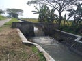 embankment on the river for irrigation of rice fields on the side of the road on the edge of the rice field Royalty Free Stock Photo