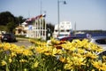 embankment sunlight yellow flower close-up boat cars river summer day bokeh background