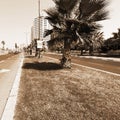 Embankment of Tel Aviv Royalty Free Stock Photo