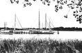 Embankment with yachts in Germany. Harbor with sailboats and yachts moored in the harbor. Seascape. Kappeln