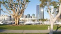 Embarcadero marina park, big coral trees near USS Midway and Convention Center, Seaport Village, San Diego, California USA. Luxury Royalty Free Stock Photo