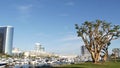 Embarcadero marina park, big coral trees near USS Midway and Convention Center, Seaport Village, San Diego, California USA. Luxury Royalty Free Stock Photo