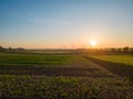 Sunset aerial view: Aerial Journey Over a Tranquil Farm Field