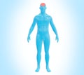 Futuristic Medical Illustration: Full Body Scan with Brain 3D Render