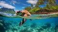 Sea Turtle Diving in the Ocean\'s Realm