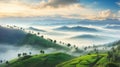 DreamShaper_v7_Mountains_under_mist_in_the_morning_Amazing_nat_0
