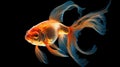 Discover the World of the Magic Goldfish, Granting Wishes Beyond Imagination Royalty Free Stock Photo