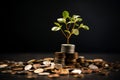 Embark on a journey to financial prosperity. wealth grows as a tree emerges Royalty Free Stock Photo