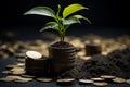 Embark on a journey to financial prosperity. wealth grows as a tree emerges Royalty Free Stock Photo