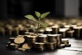Embark on a journey to financial prosperity. Wealth grows as a tree emerges, signifying savings and investment. Royalty Free Stock Photo