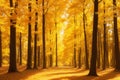 Majestic Golden Forest: Sunlit Leaves Beckoning Exploration