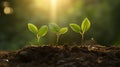 Tree Growth in Three Steps in Nature