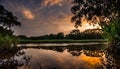 Evening Fantasy by the Amazon Creek