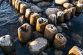 Embedded stones and harbor ruins in Narva-JÃÂµesuu. Rocky beach, peaceful sea and port.