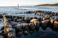 Embedded stones and harbor ruins in Narva-JÃÂµesuu. Rocky beach, peaceful sea and port.