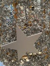 Embellished Christmas decoration star and white glitter silver tinsel