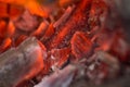 Ember closeup after wood fire. Glowing ash after flames burning hot Royalty Free Stock Photo