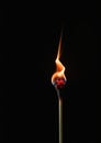 Embers of Despair: A Neoplastic Matchstick in a Burning Building