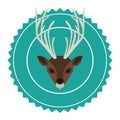 emblem bear hunter city icon Royalty Free Stock Photo