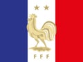 Emblem of the football federation of France FFF with national flag