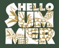 Hello summer lettering with pineapple Royalty Free Stock Photo