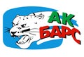 The emblem of the hockey club `Ak Bars`. Kazan city. Russia