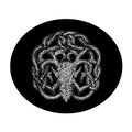 Emblem logo in grunge style dragon head pattern