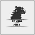 The emblem with panther for a sport team. Royalty Free Stock Photo