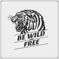 The emblem with tiger for a sport team. Royalty Free Stock Photo