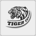 The emblem with tiger for a sport team. Royalty Free Stock Photo