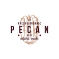 Emblem with type design and hand drawn pecan nut Royalty Free Stock Photo