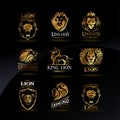 Emblems with golden Lions